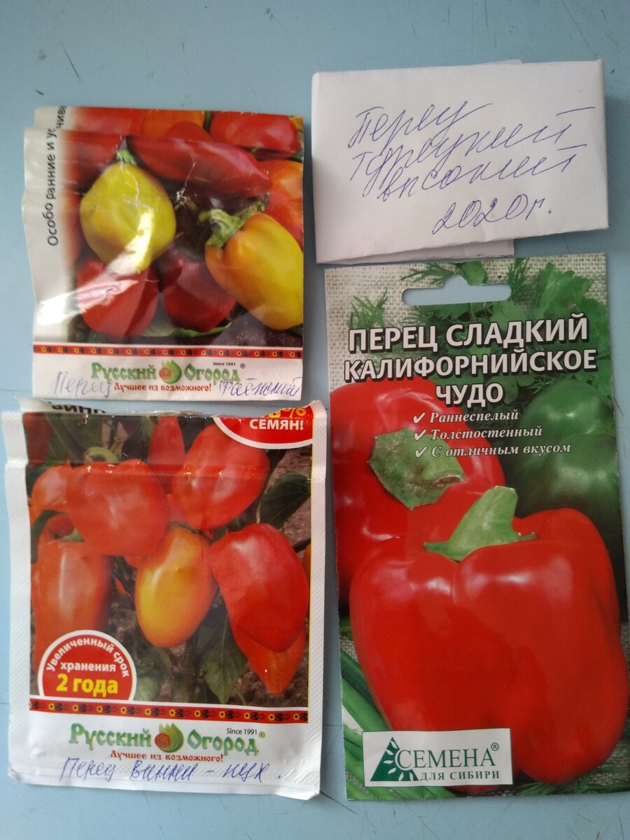 Таежный и Винни-Пух срок реализации 12. 2019. В 2018 отличный урожай дали, посмотрим, что сейчас получится. Попытка не пытка.