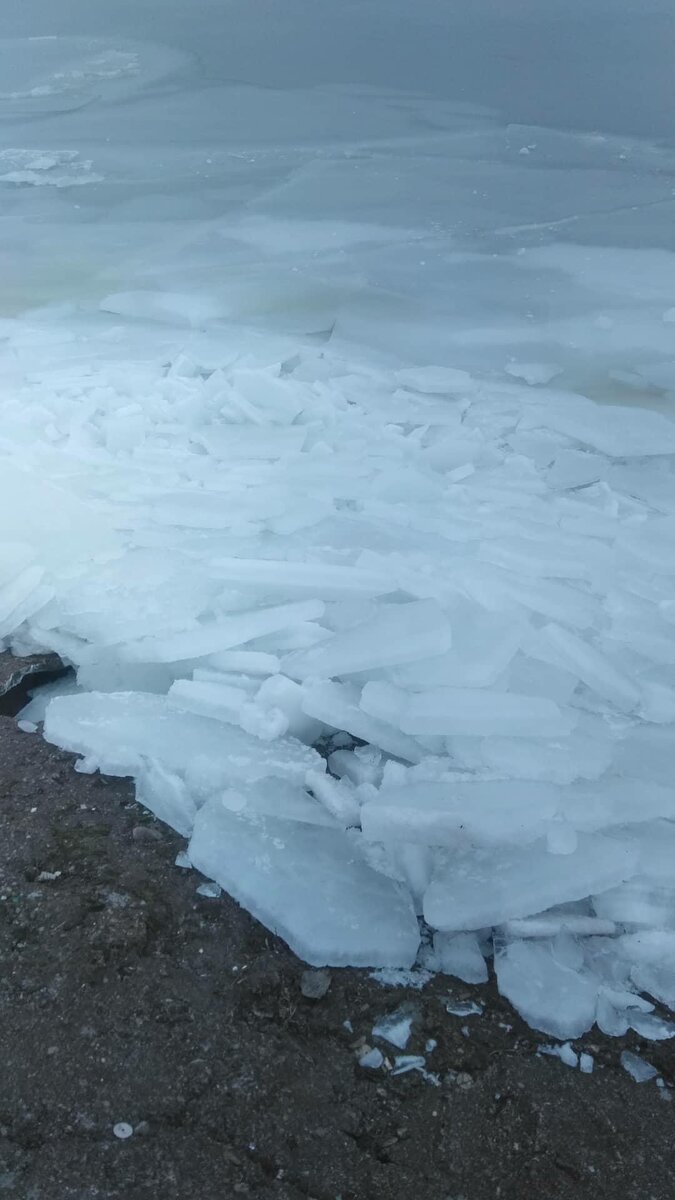 Фото автора, 2021г