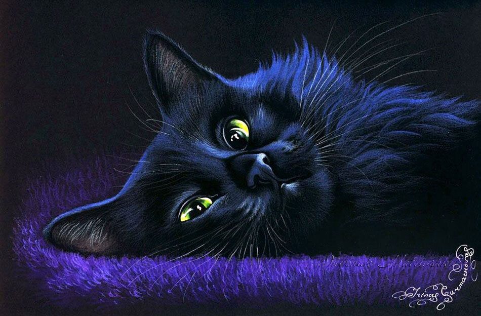 Фото из сети Интернет