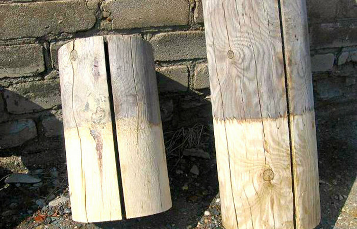 Со временем дерево покрывает плесенью. /Фото: geofabric.ru.