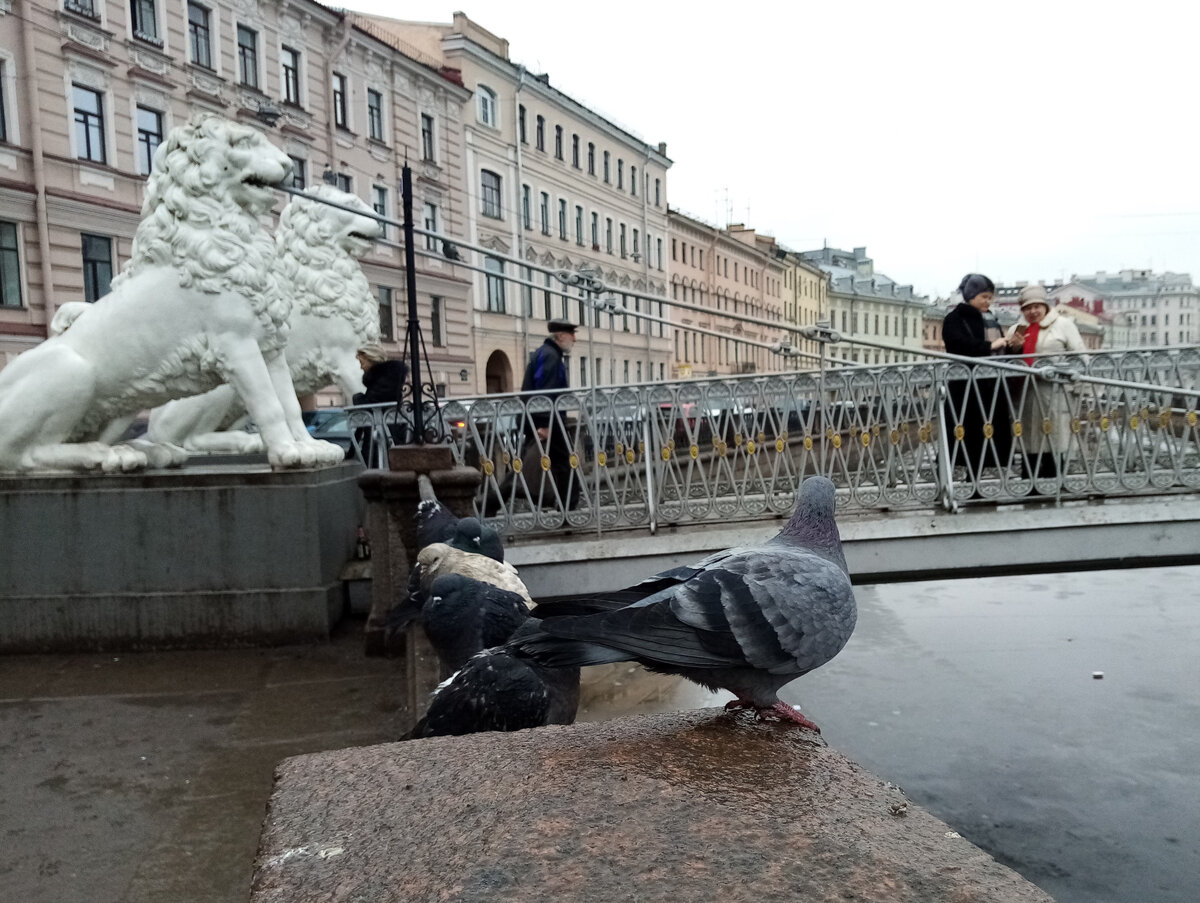 львиный мост в спб