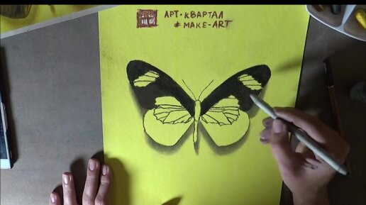 Как нарисовать бабочек за 15 минут?