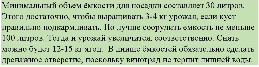 Виноград из косточки выращивание, посадка винограда косточками