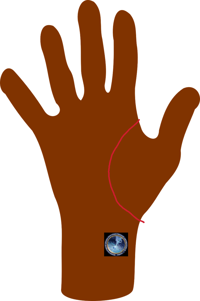 Линия жизни с хорошим охватом холма Венеры 