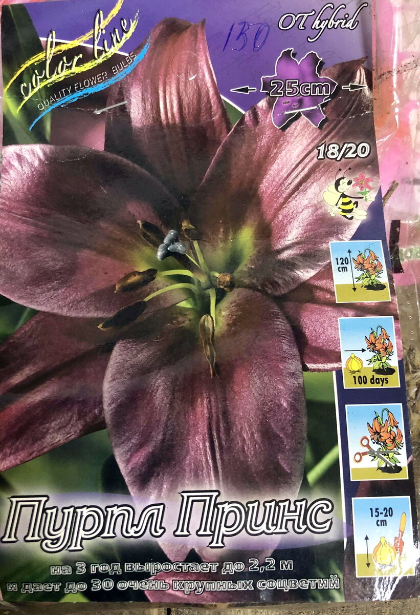 Не смогла устоять