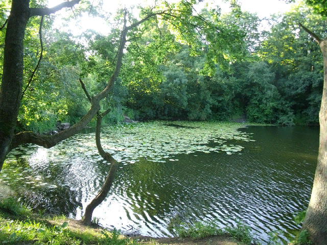 Парк Южный .