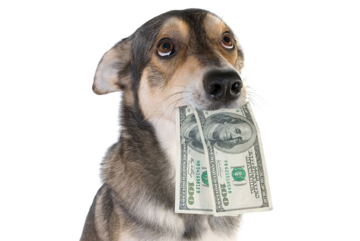  Источник фото: Яндекс картинки