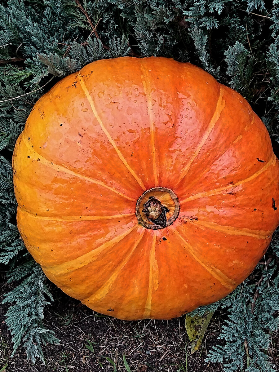 Фото из личного архива автора.