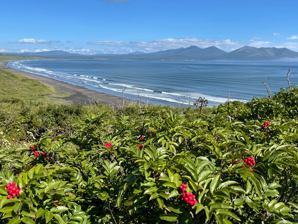 Побережье Тихого океана
