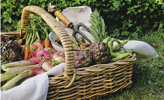 Осень особо приятно собирать урожай, выращенный своими руками