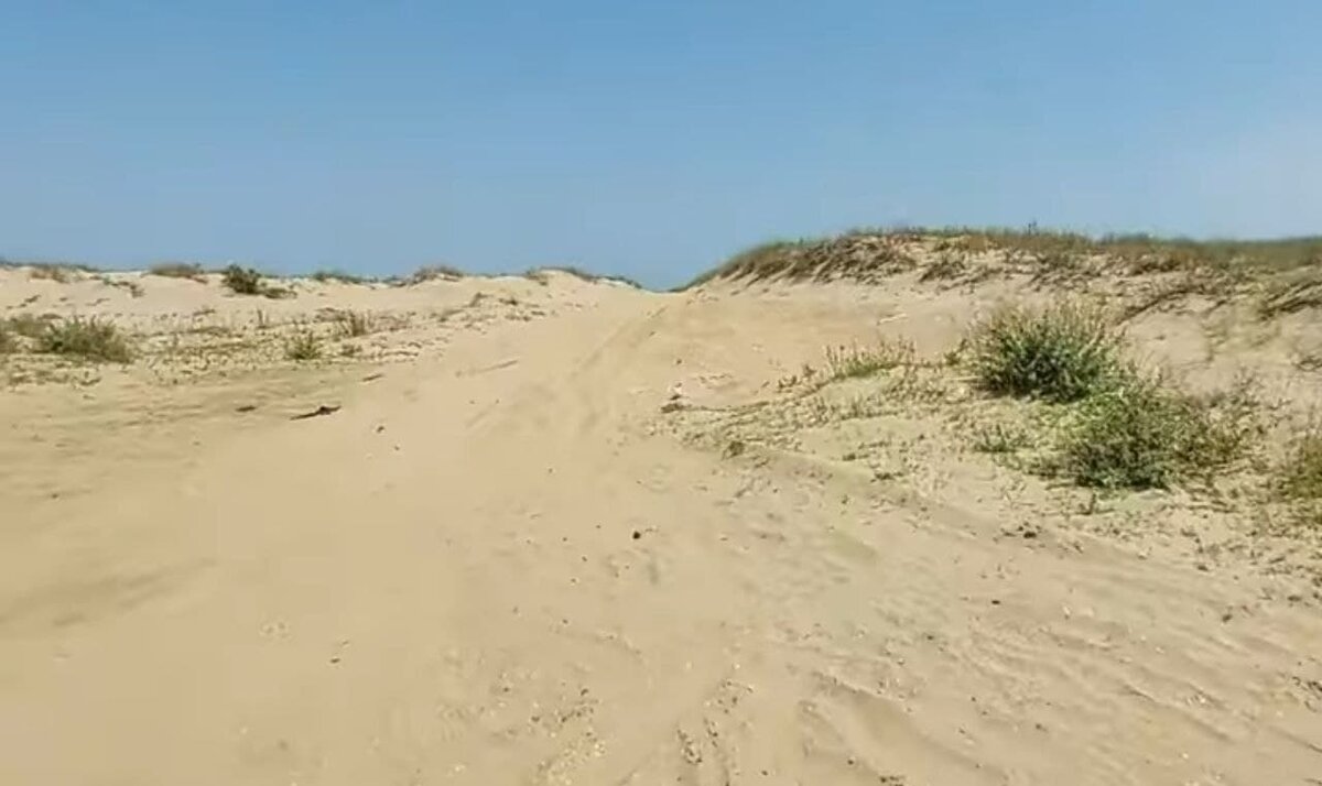 За барханами море.