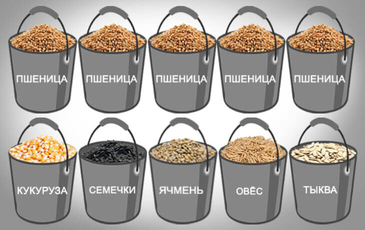 Рецепт зерносмеси: пять частей пшеницы и по одной части овса, ячменя, кукурузы, семечек подсолнуха и тыквы. Добавить мел, рыбную и мясокостную муку