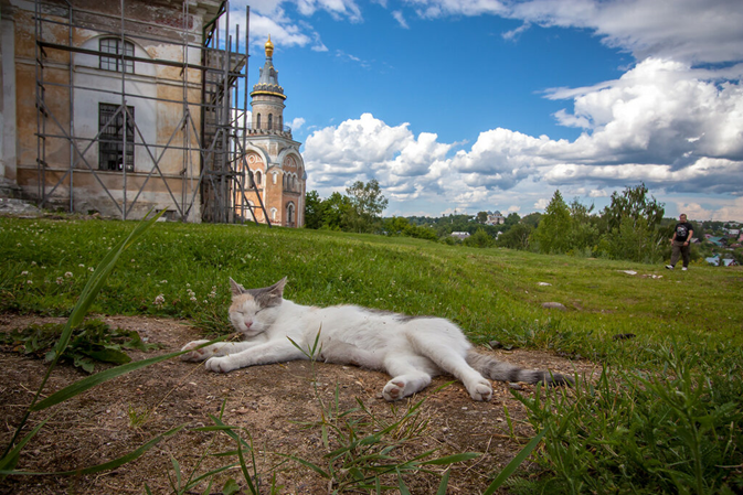 Фото А. Д. Михайловского.