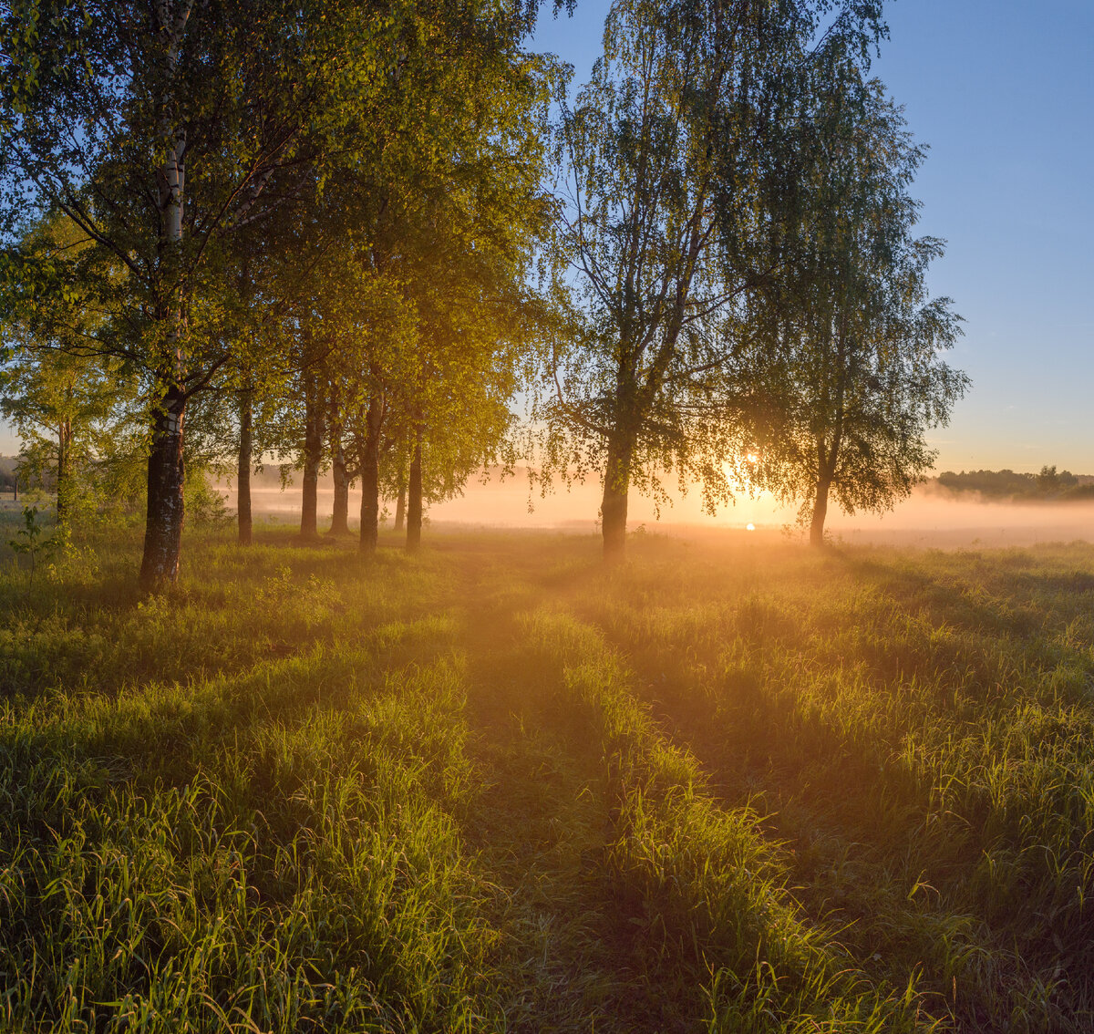 Золотой час  
