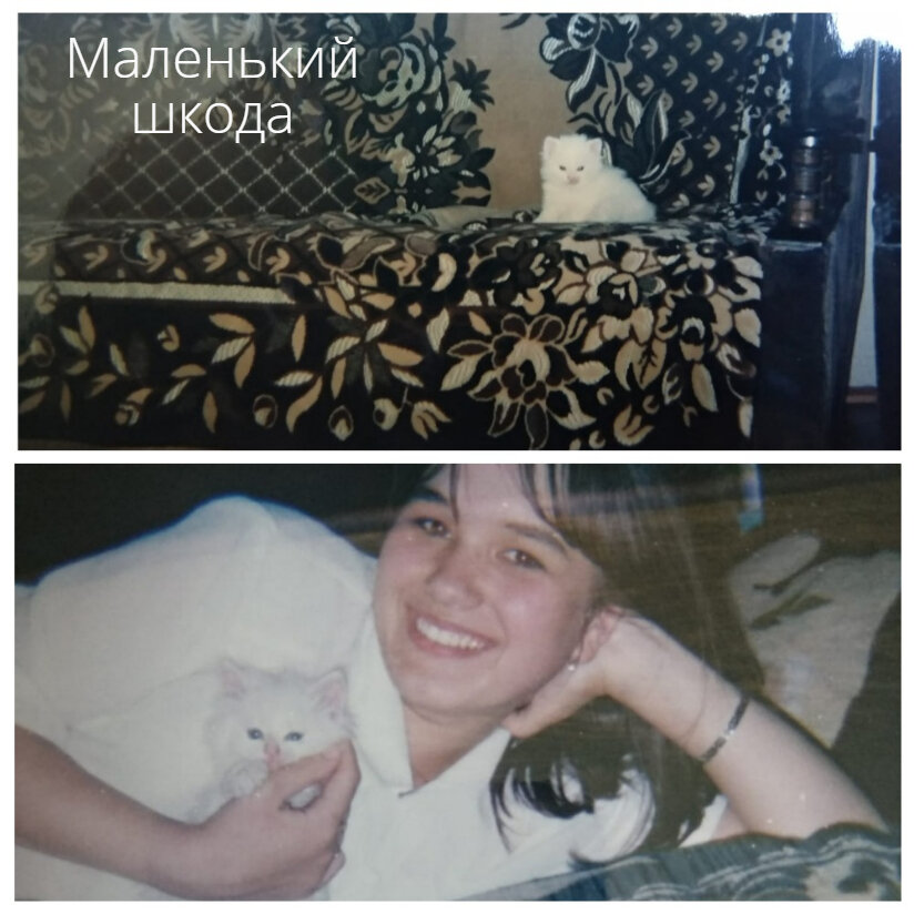 Вот таким он появился в нашей семье)