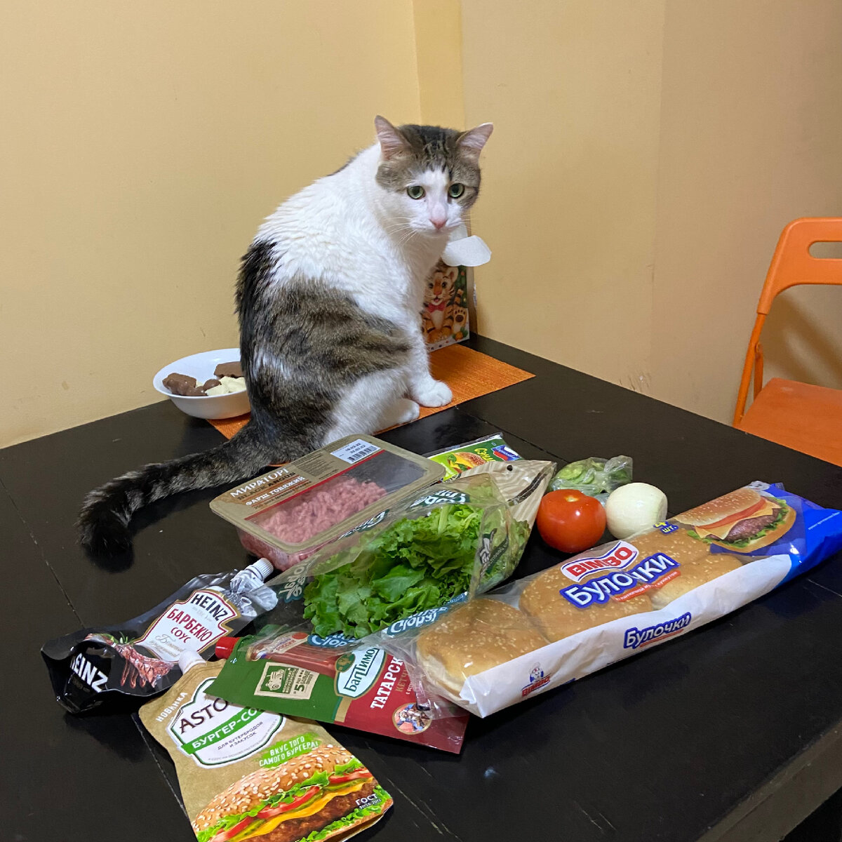 Да, он тусит на столе. Да, ему можно 