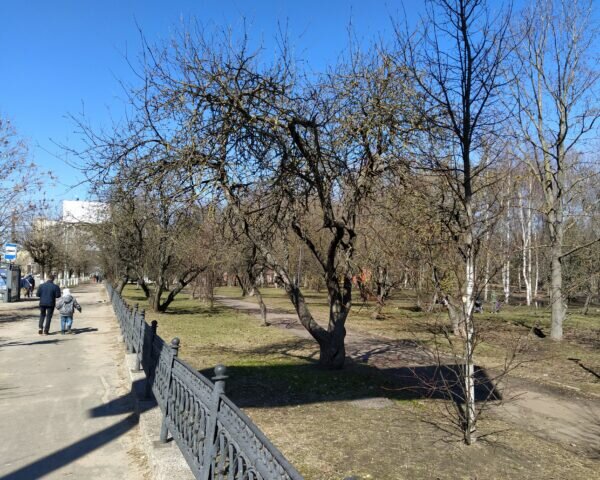    Фото: Екатерина Иванова