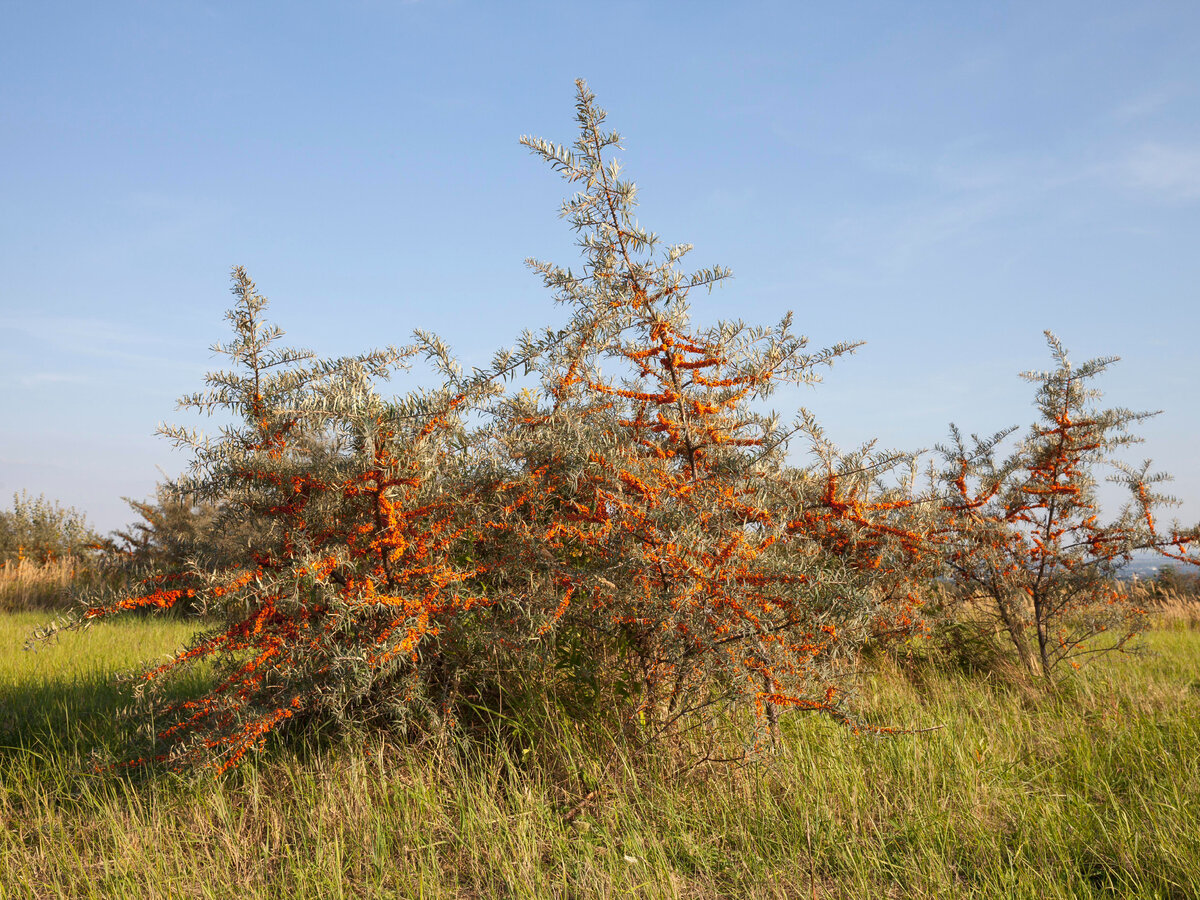 Фото: globallookpress.com