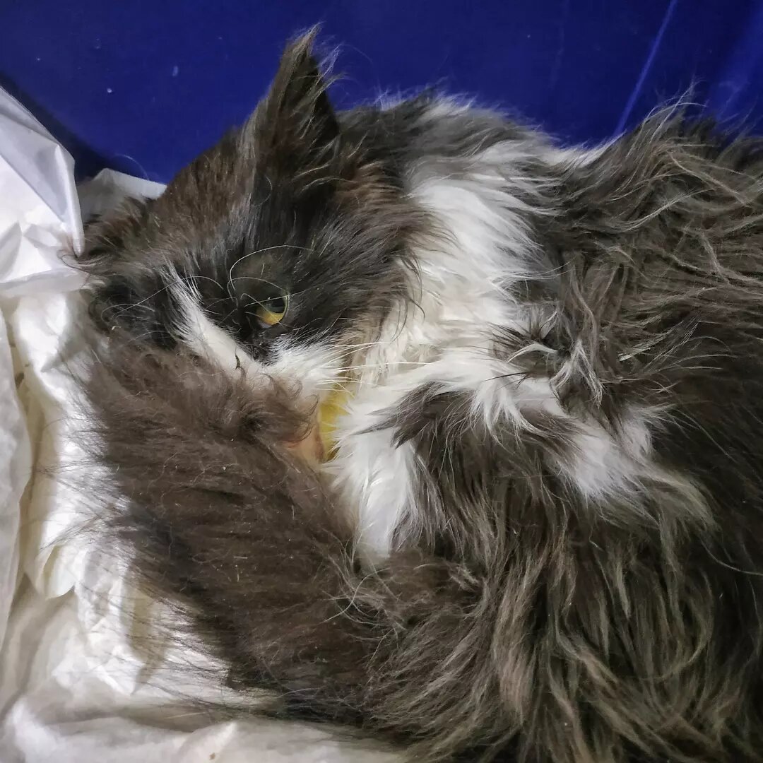 Будем лечится