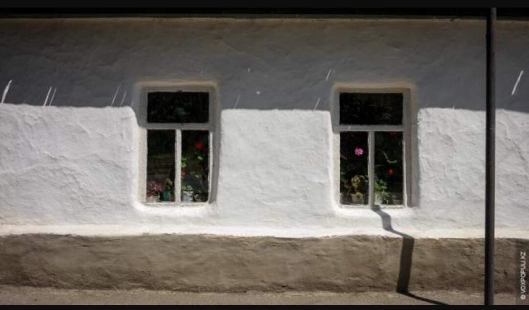 Источник Яндекс фото