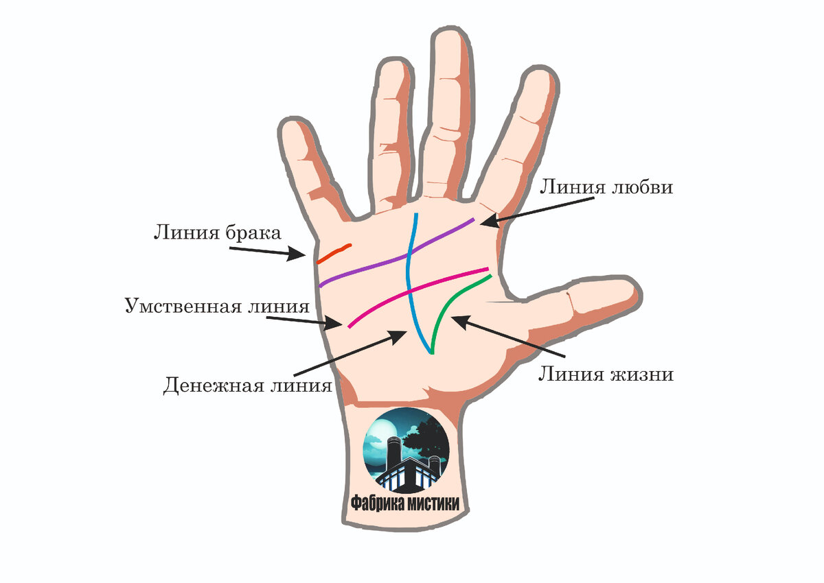Линия жизни на ладони расшифровка