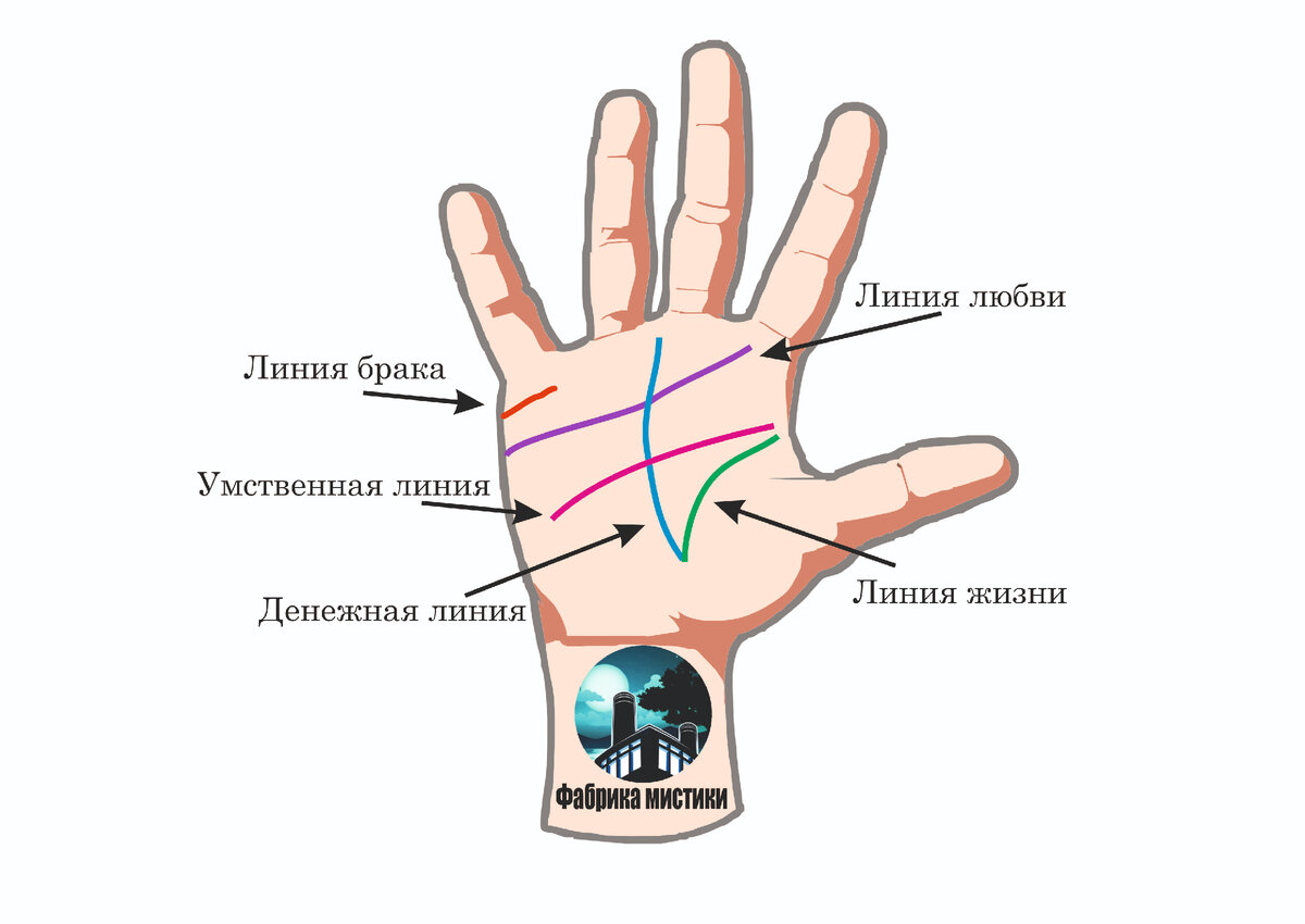 Линии на ладони расшифровка правая