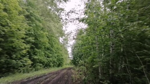 Поездка в Эксталь🛣/Неизвестные грибы🍄/Влог за 05.06.2022.