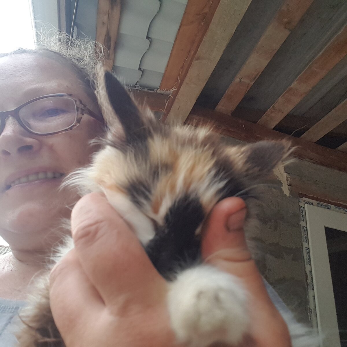 Сложно эту мадам в кадр поймать...