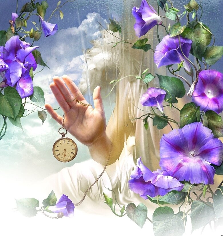 Взято из открытых источников 