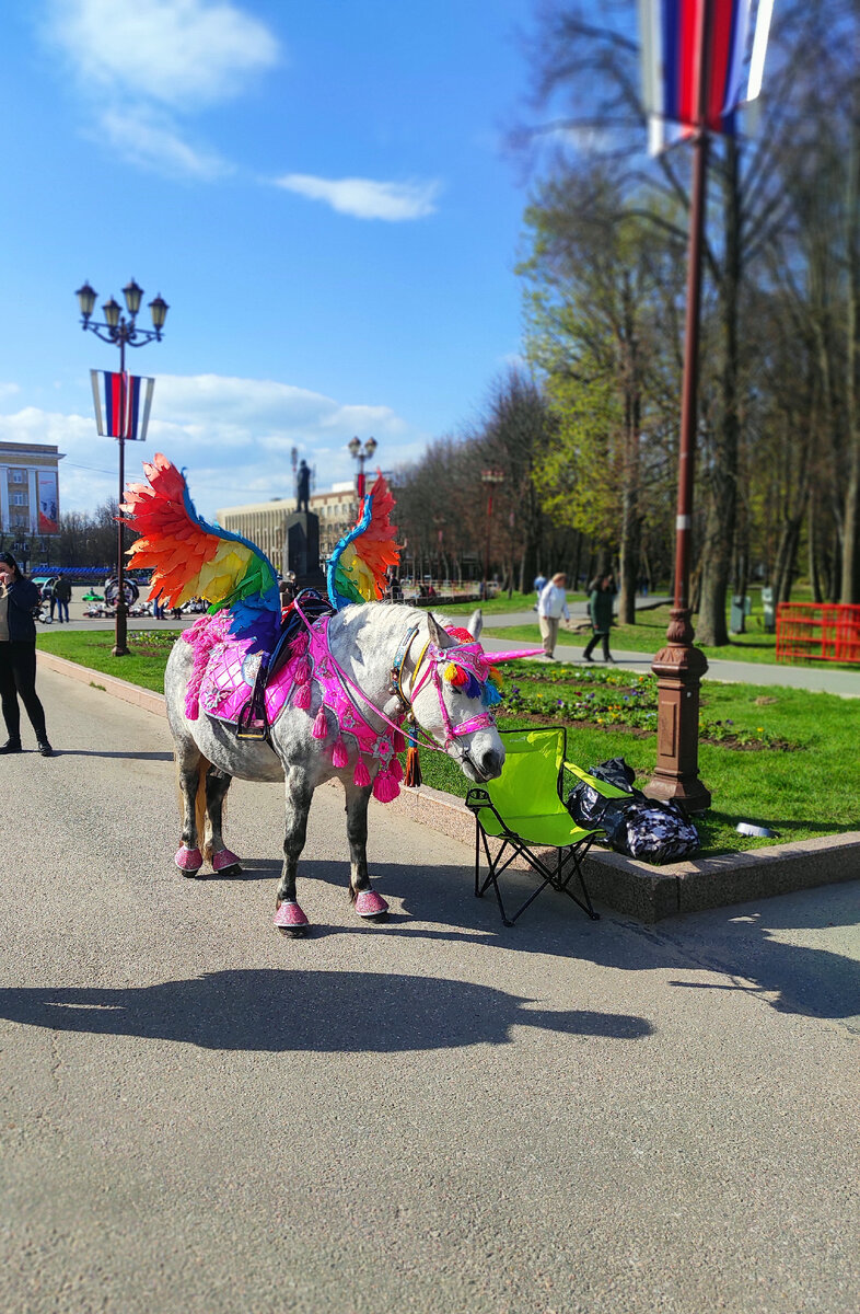 Великий Новгород. 2022