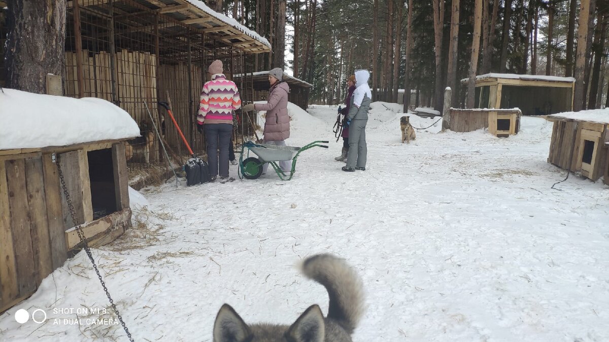 Девчонки наши любят трудиться и летом и зимой. Хлебом их не корми, дай только тележку и лопату побольше