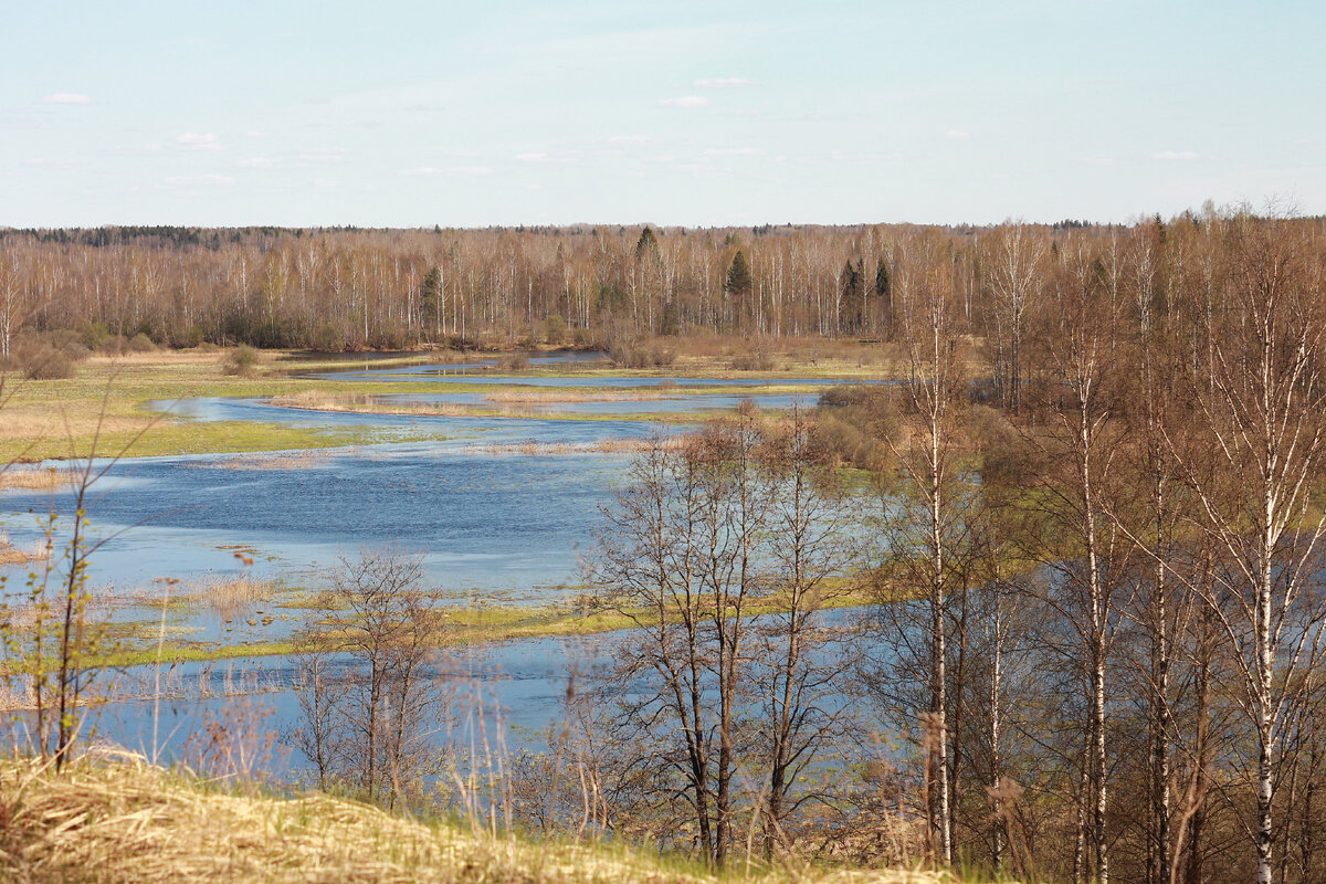 Весенний разлив на Ельше. Вид с Дубиновской горы