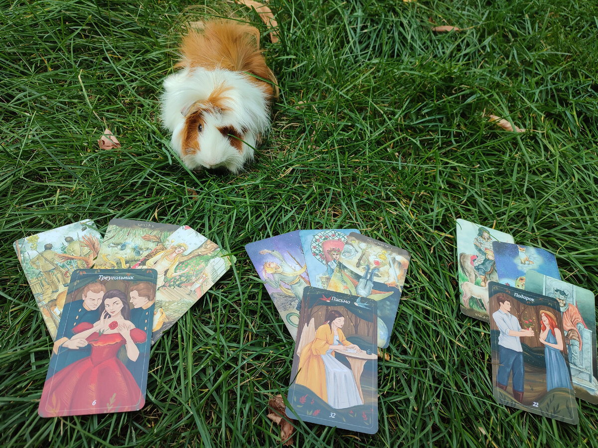 А вот и ответы