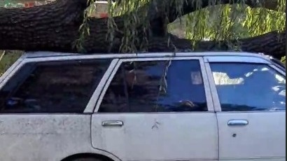     На два автомобиля обрушилось большое дерево прямо во дворе дома во Владивостоке. Теперь владельцы ТС не знают, куда обращаться с претензиями.