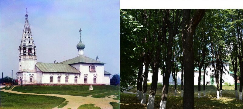 Сегодня объём растительности превышает все мечты экологов 19-го века...