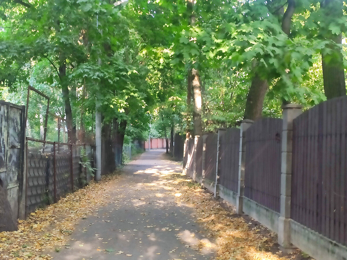 Улицы поселка