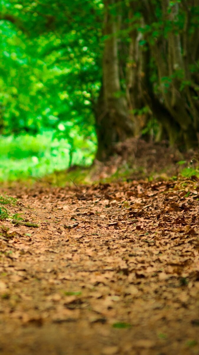 Фото из интернета