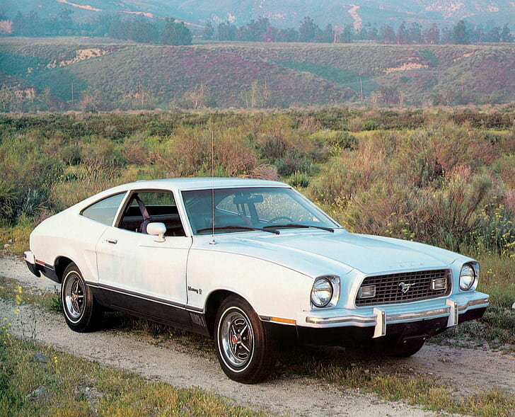 Ford Mustang Mach 1 1973-г.