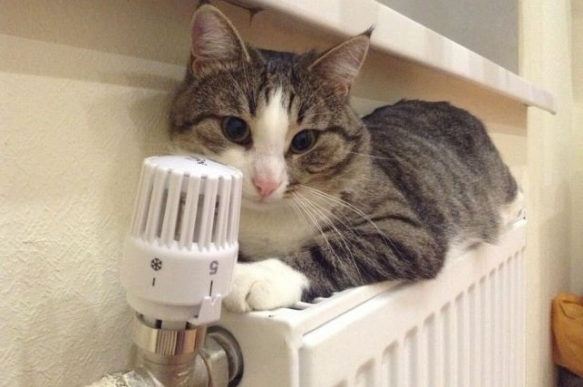    На 10 октября в Самаре получили отопление 10155 жилых домов из 10195