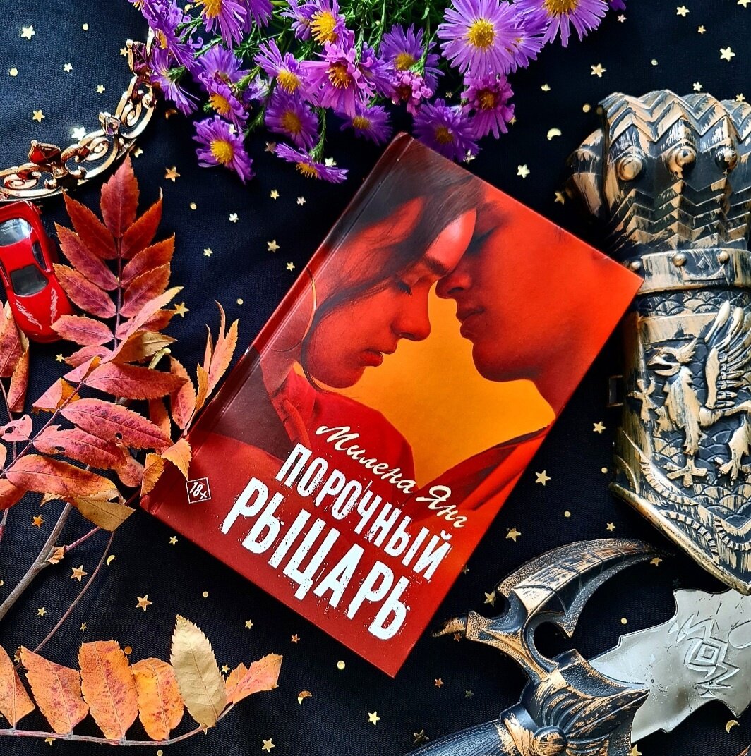 порочный рыцарь книга