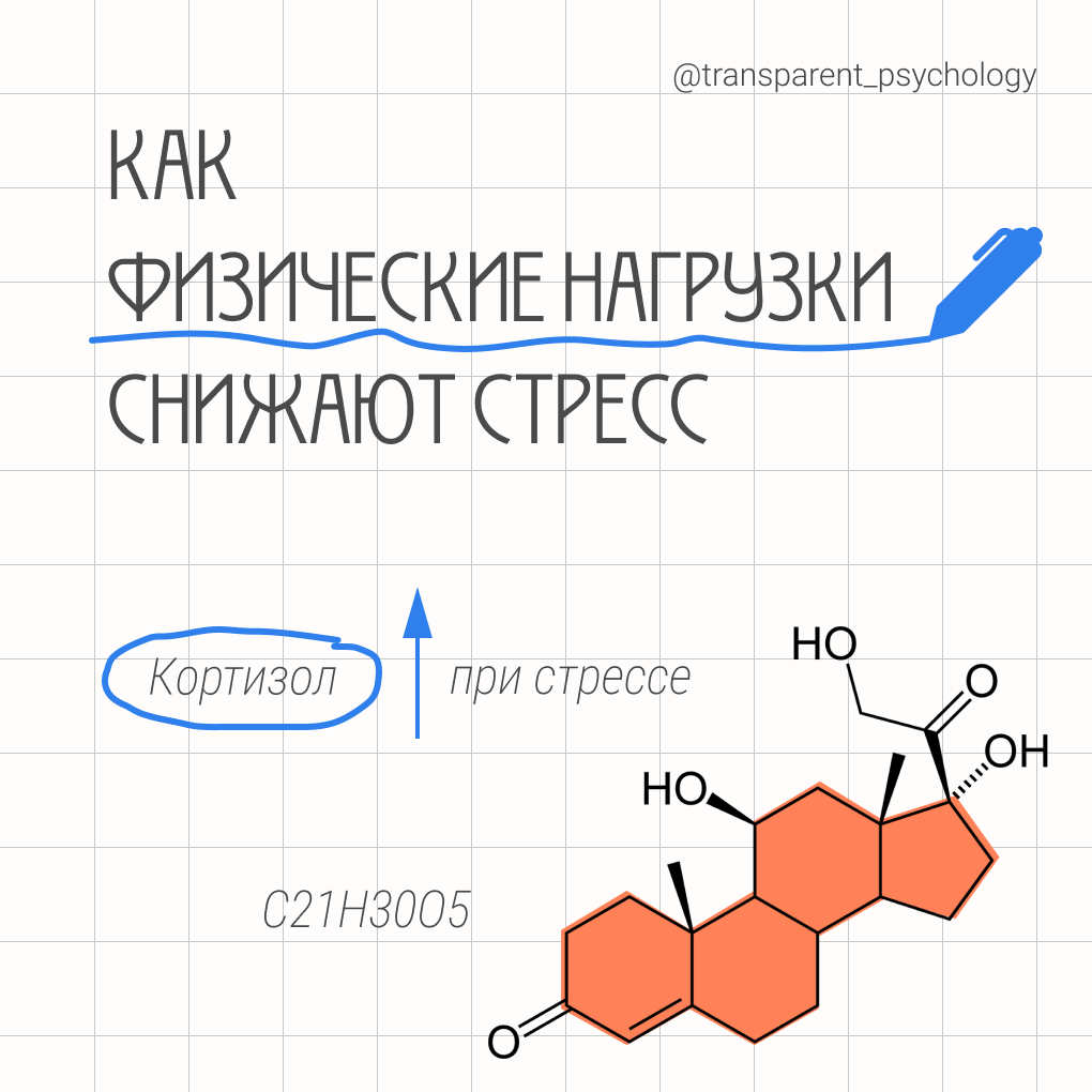 В момент сильного стресса в организме выделяется большое количество кортизола- гормона стресса. 