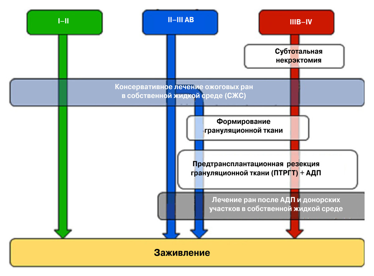 1. Система лечения ожоговых ран в собственной жидкой среде АДП — аутодермопластика, то есть пересадка собственной кожи пациента