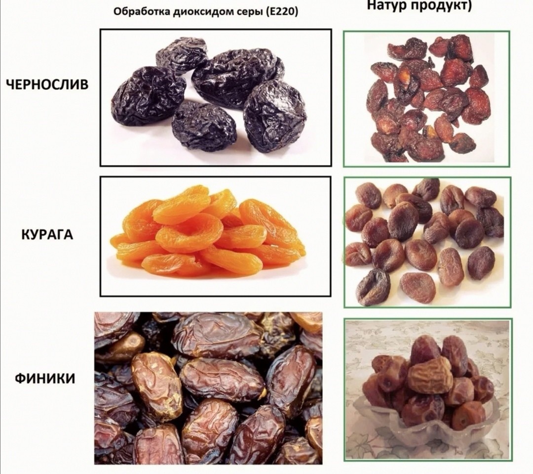 Чернослив — аллерген или нет?