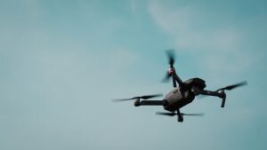    Фото: unsplash.com Ирина Моргунова