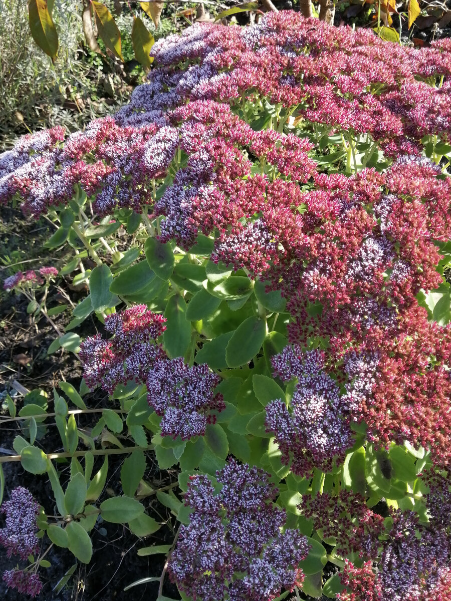             =   НОЧЬЮ УЖЕ БЫЛ МИНУС.      =