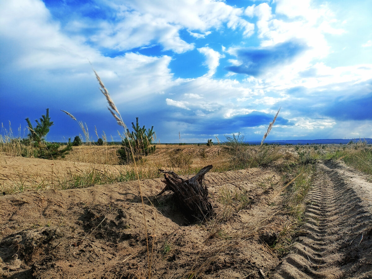 Чуть дальше в оврагах видимо добывают песок. Излучину Дона решили оставить на потом :)