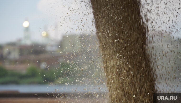    Читатели Le Figaro назвали Украину виновной в приостановке зерновой сделки