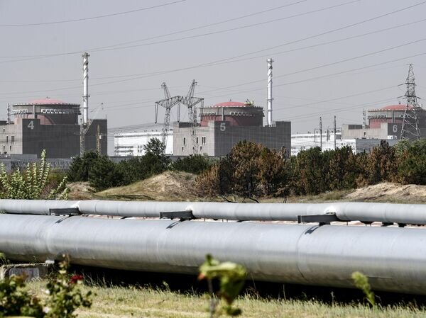   © РИА Новости Константин Михальчевский