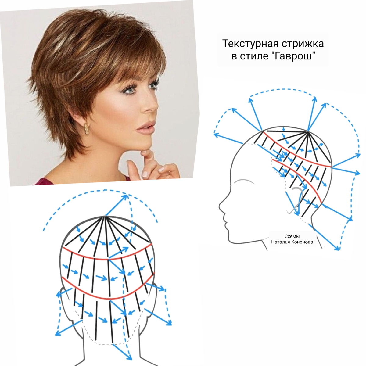 Основные формы стрижки