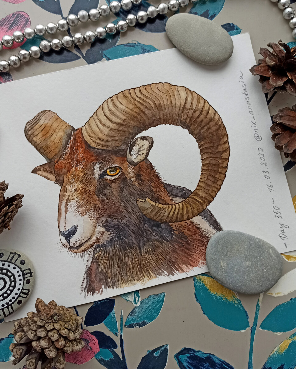 рисунок продается